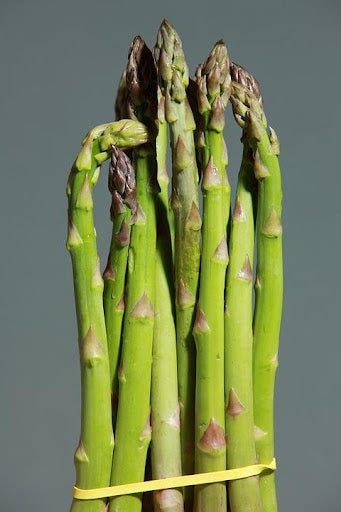 Can Squirrels eat Asparagus?