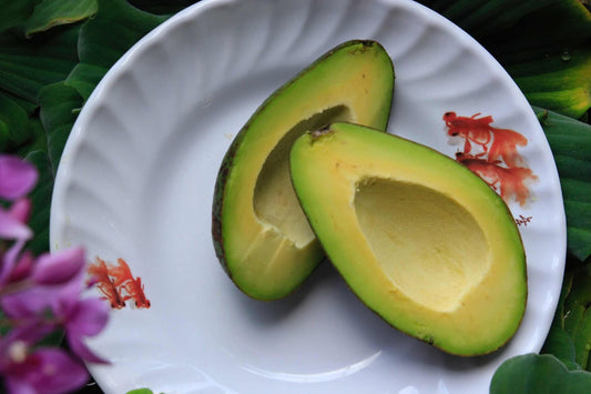 Can Tortoises Eat Avocado?