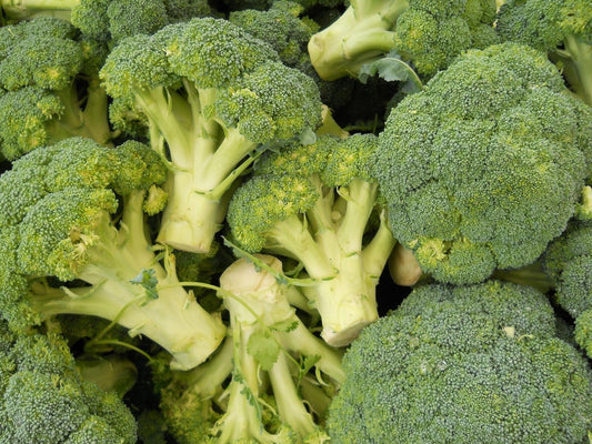 Can Cats Eat Broccoli?