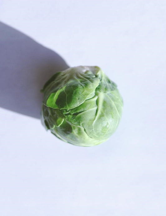 Can Chickens Eat Brussel Sprouts
