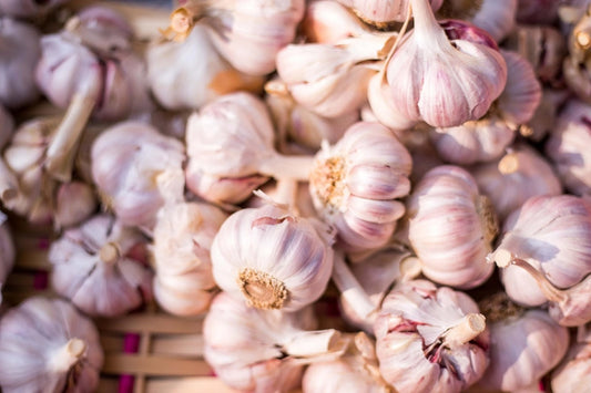 Can Rats Eat Garlic?