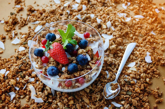 Can Gerbils Eat Granola?