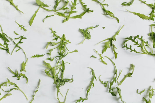 Can Rats Eat Arugula?