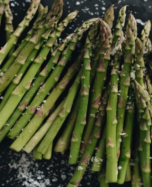 Can Bearded Dragon Eat Asparagus?