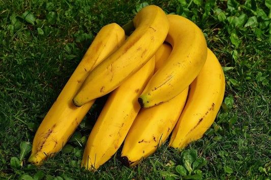 Can Cats Eat Banana?