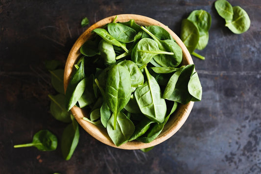 Can Cats Eat Basil?