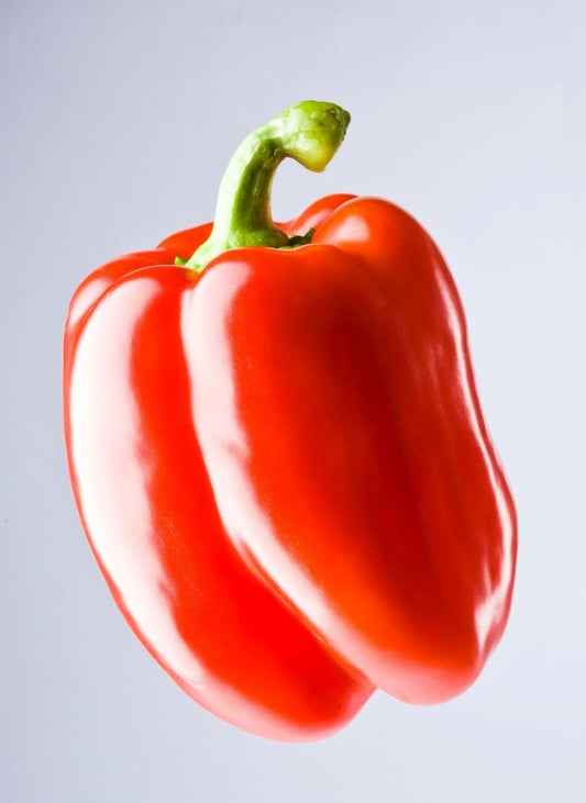 Can Chickens Eat Bell Peppers