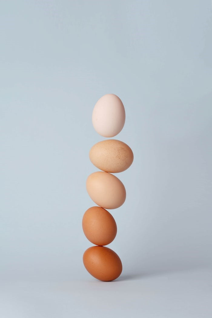 Can Pigs Eat Eggs?