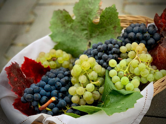 Can Chickens Eat Grapes?