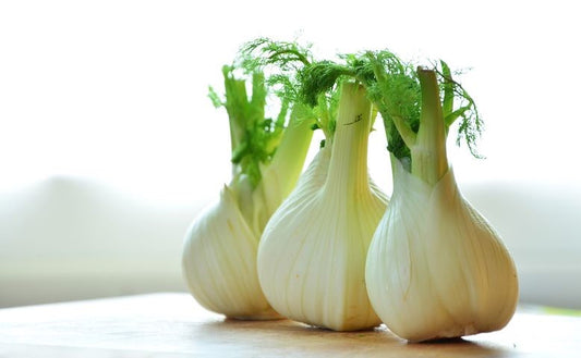 Can Pigs Eat Fennel?