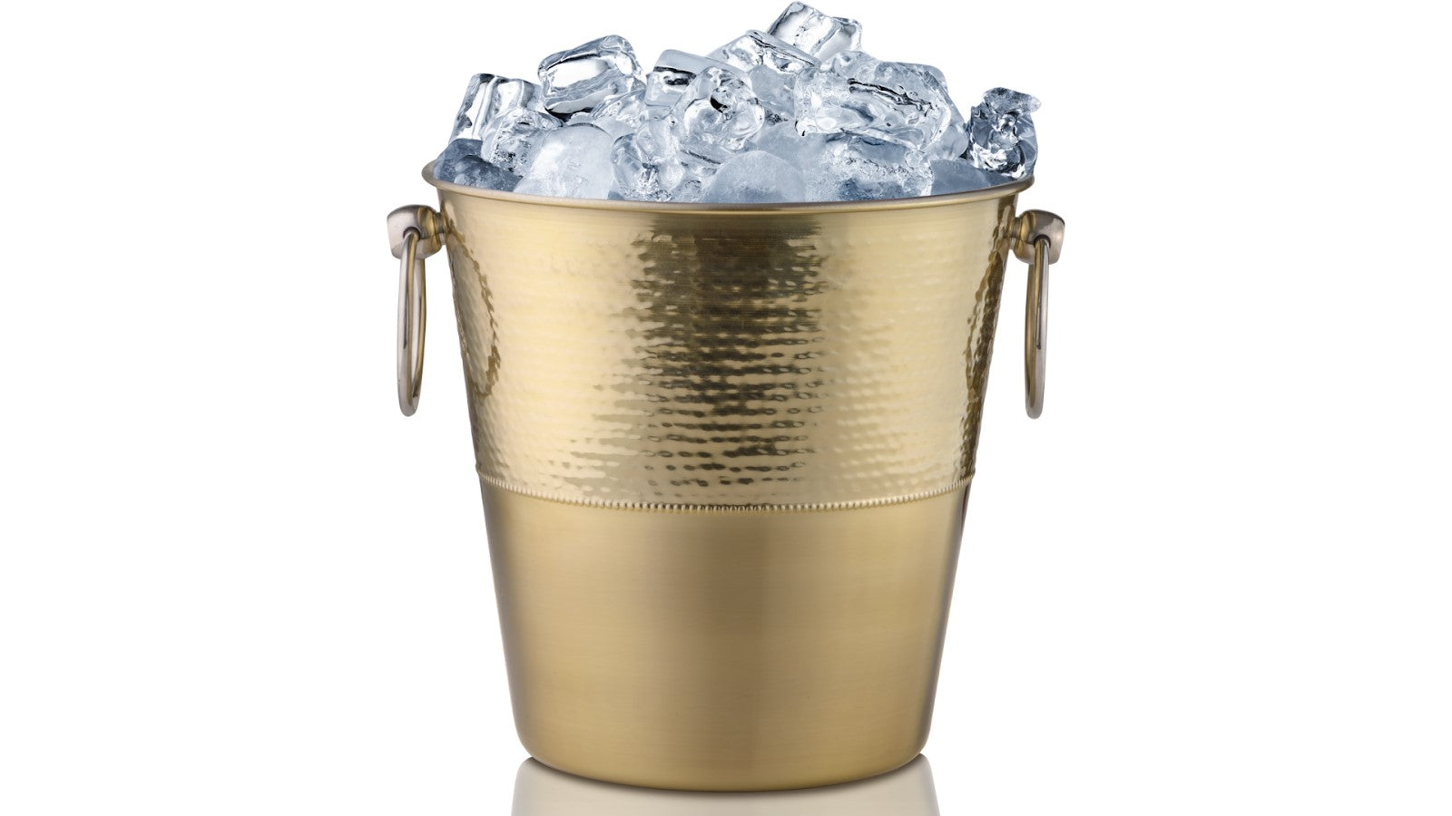 Can Guinea Pigs Eat Ice? Shrewdnia