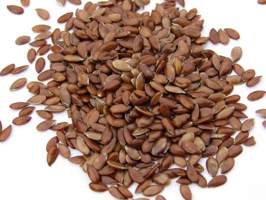Can Gerbils Eat Flaxseed?