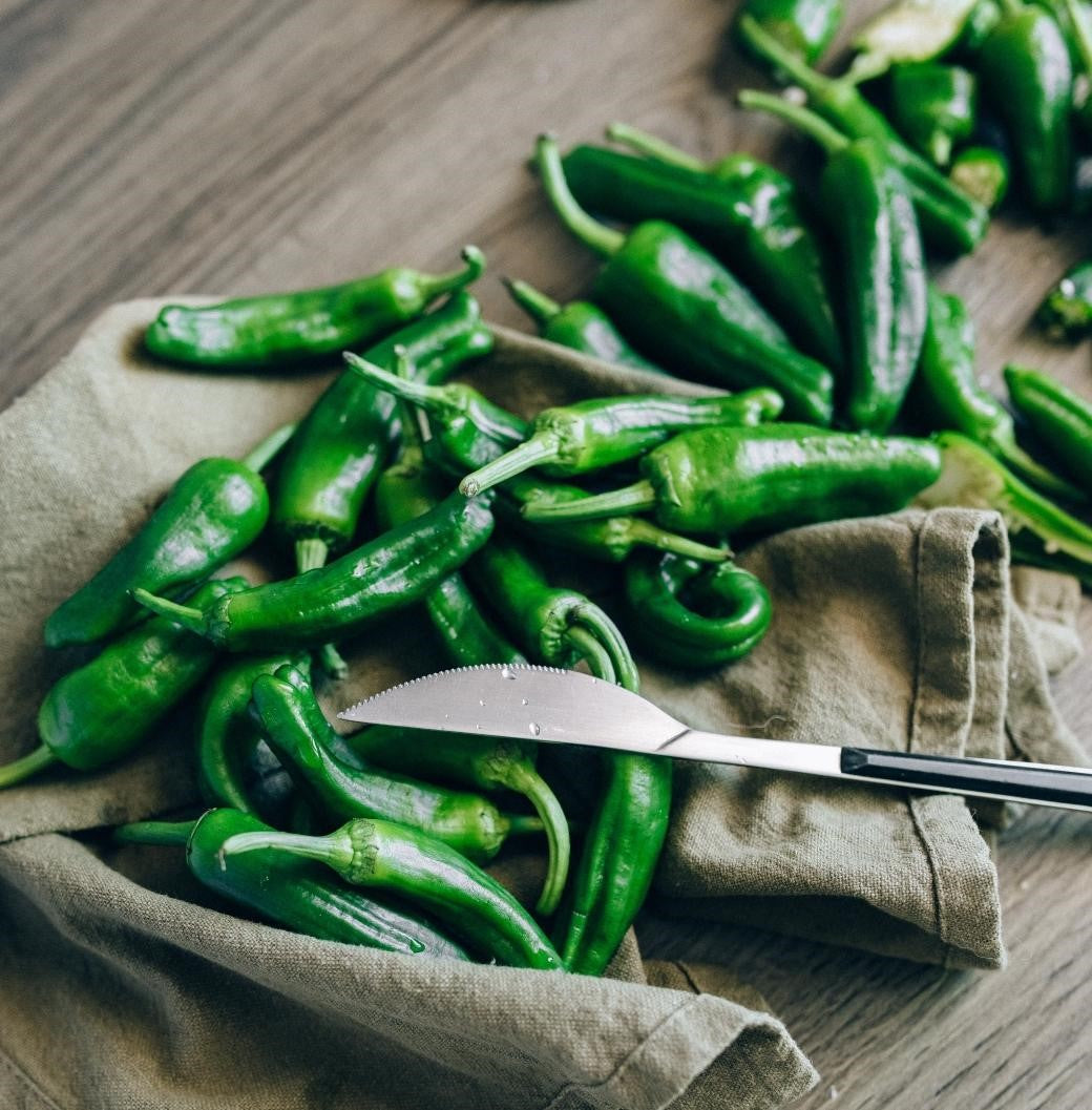 Can Cats Eat Jalapenos?