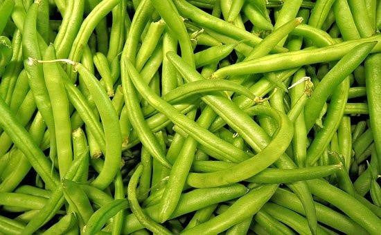 Can Hedgehogs Eat Green Beans?