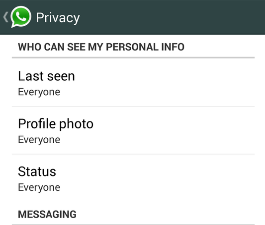Why Would A Girl Hide Her Last Seen On Whatsapp