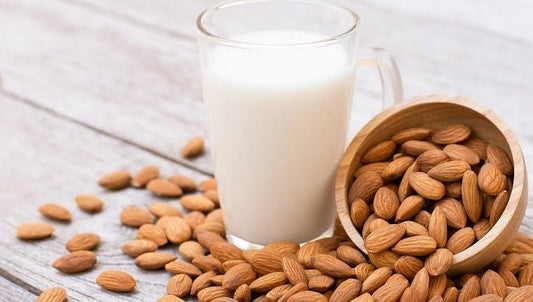 Can Dogs Drink Almond Milk?