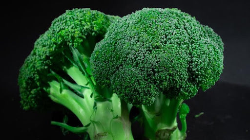 Can Bearded Dragons Eat Broccoli?