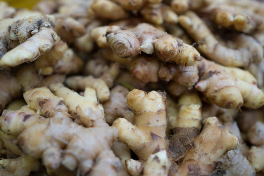 Can Chickens Eat Ginger?