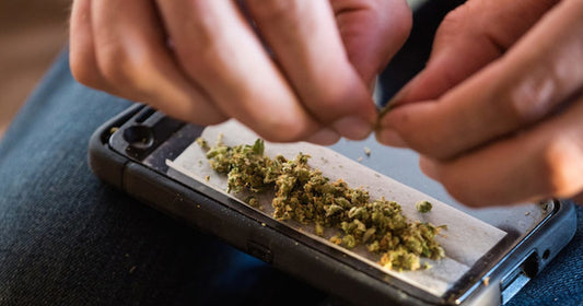 Why Is My Boyfriend Addicted To Weed