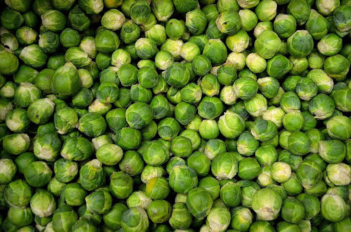Can Rats Eat Brussel Sprouts?
