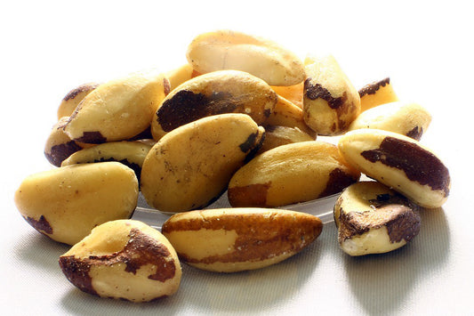 Can Squirrel Eat Brazil Nuts?