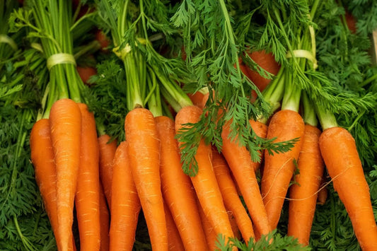 Can Chickens Eat Carrots