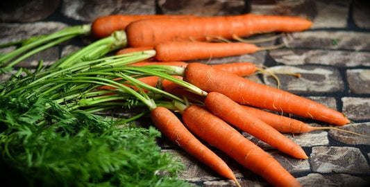 Can Squirrels Eat Carrots?