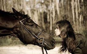 My Boyfriend Is As Strong As A Horse