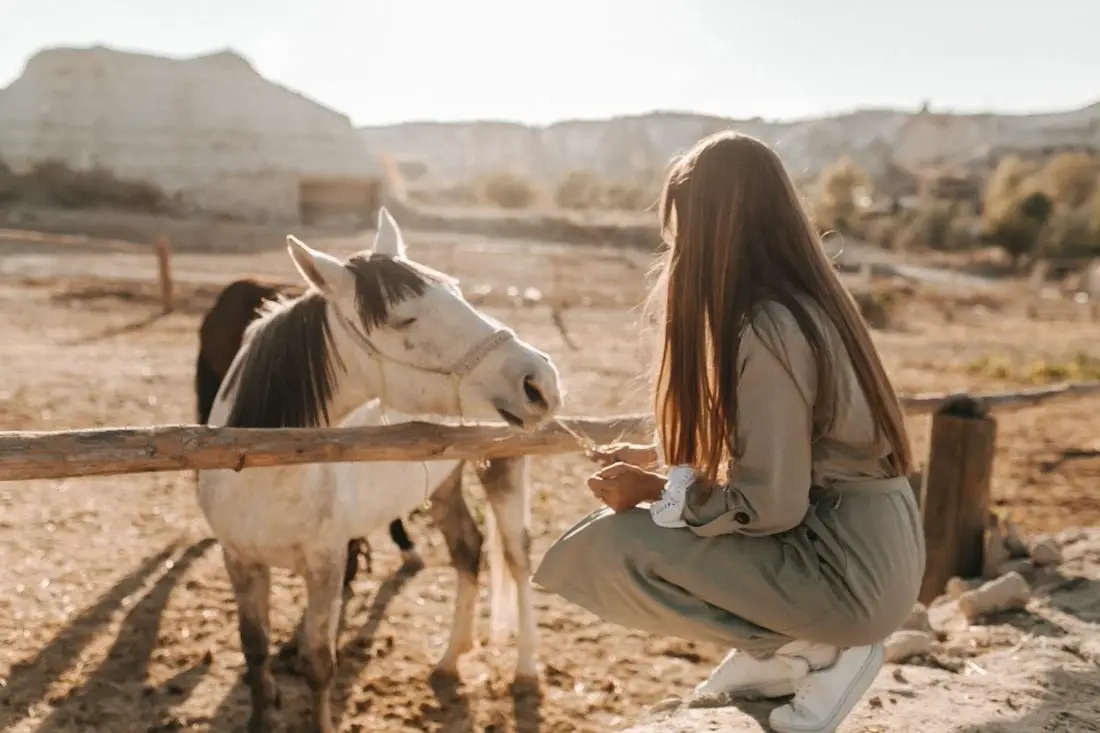 Can Horses Eat Jicama?