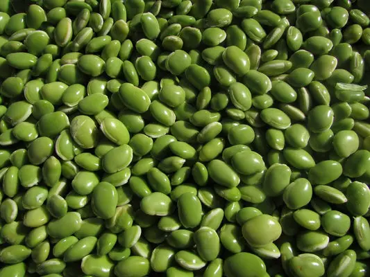 Can Gerbils Eat Green Beans?