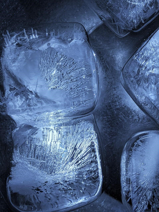 Can Chickens Eat Ice?