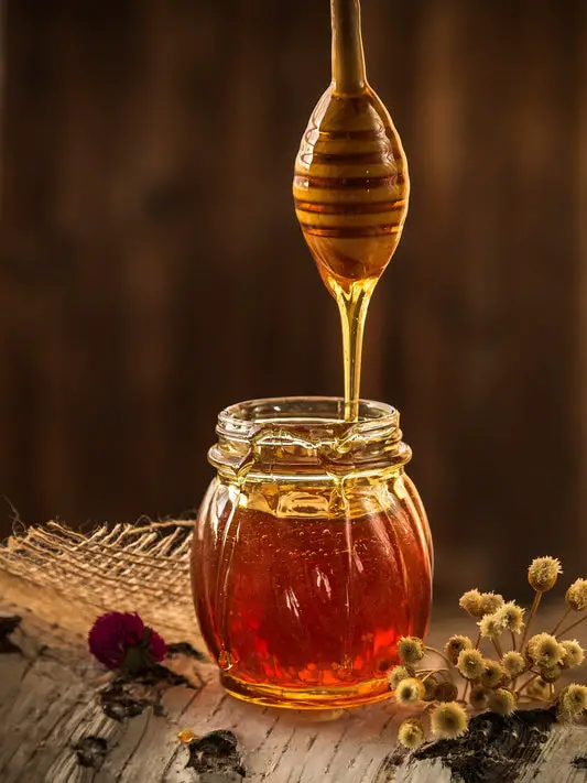 Can Gerbils Eat Honey?