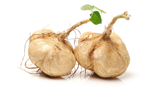 Can Guinea Pigs Eat Jicama?