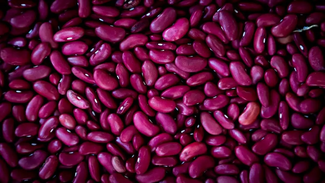 Can Chickens Eat Kidney Beans