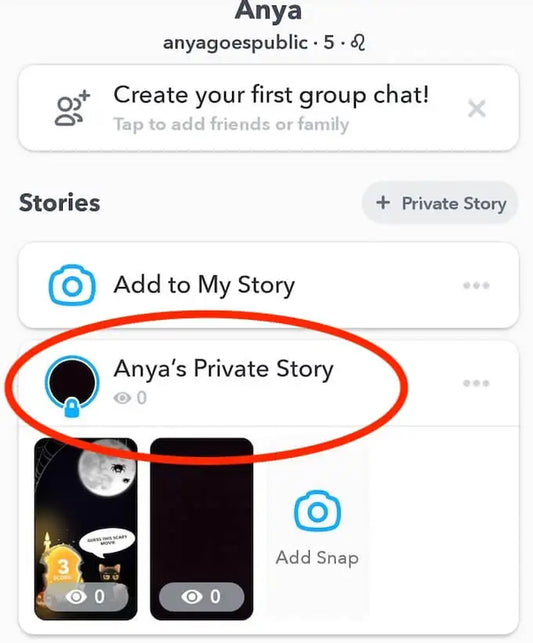 If a Girl Adds You To Her Private Story
