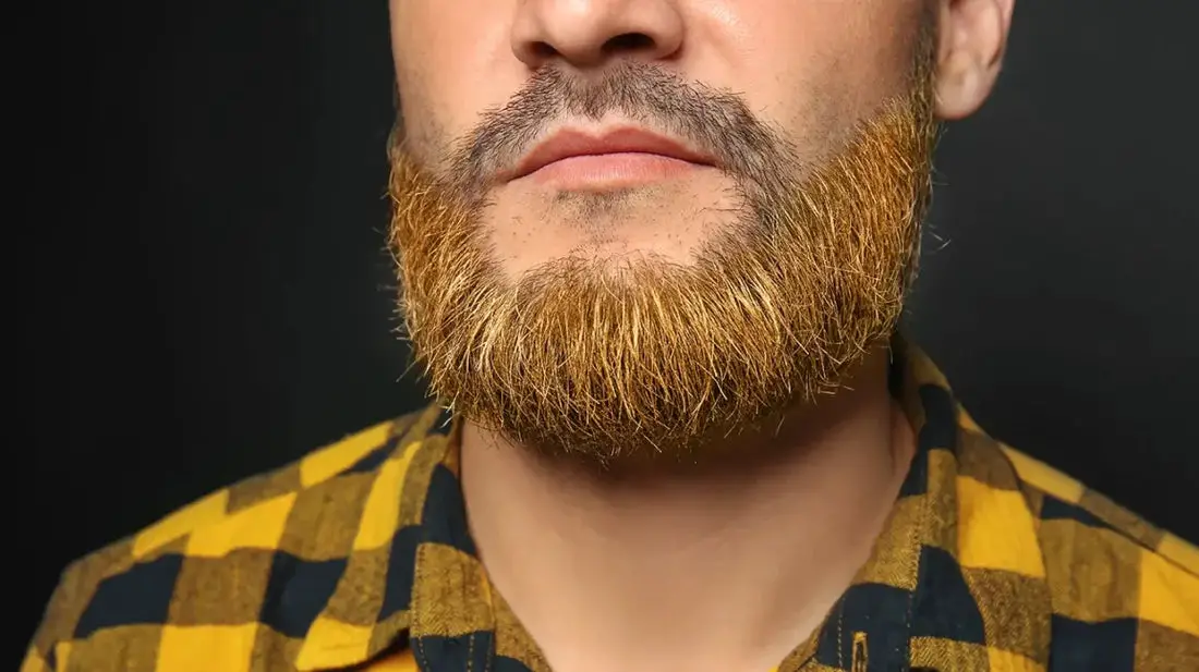 Do Guys Dye Their Beards