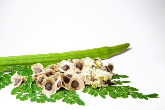 Can Chickens Eat Moringa Seeds