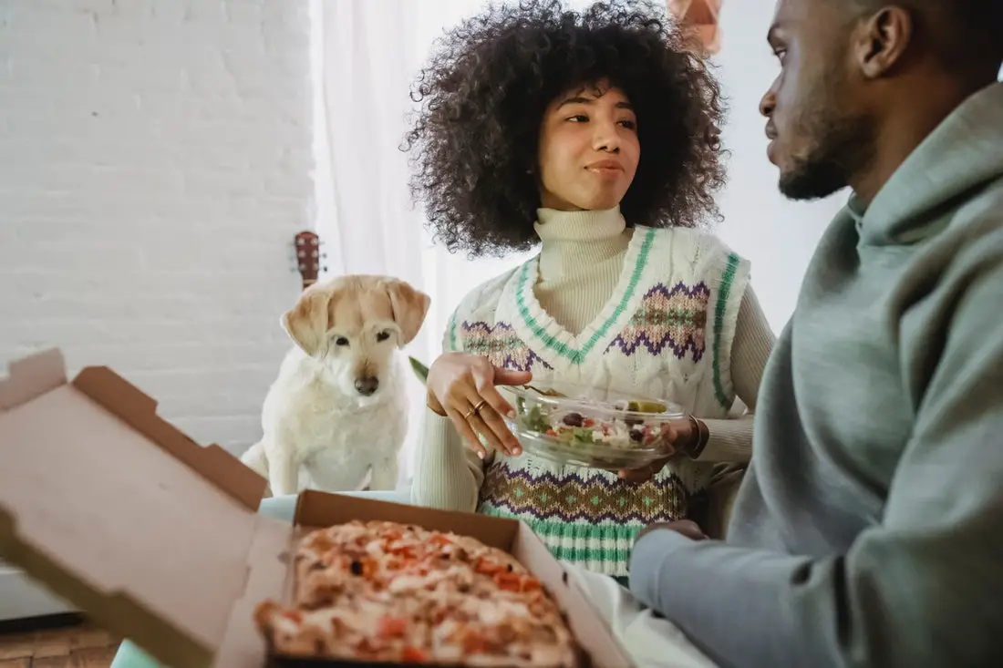Can Dogs Eat Pizza?