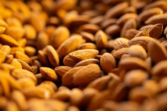 Can Birds Eat Almonds?