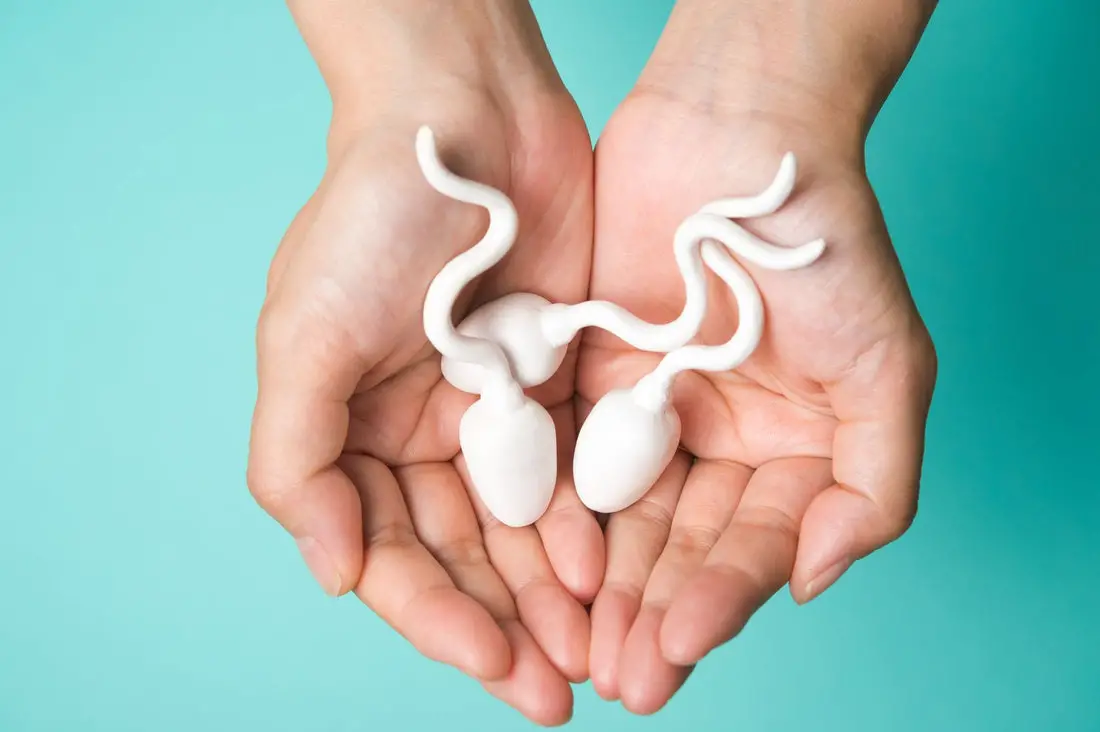 Do Guys Feel Pain During Sperm Production