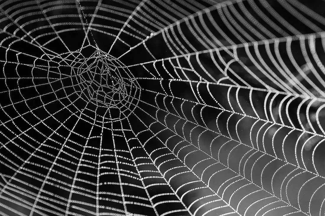 How To Draw Spider Web